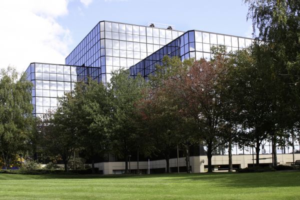 Commercial Tree Trimming in Dacula